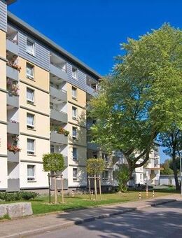 3-Zimmer-Wohnung in Essen Freisenbruch - Essen