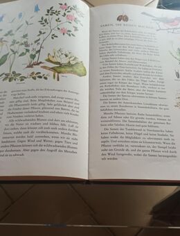 Buch vom ersten Wissen - Leichlingen (Rheinland, Blütenstadt)