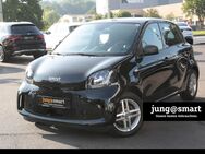 smart EQ forfour, Plus-Paket Volldach 22kW, Jahr 2021 - Aschaffenburg