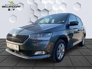 Skoda Fabia, 1.0 TSI Soleil vo hi, Jahr 2019 - Bottrop