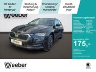 Skoda Octavia, Combi Ambition, Jahr 2024 - Weil der Stadt