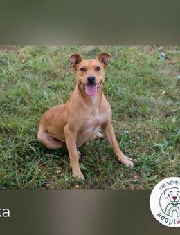 Inka Ihre Augen leuchten wie ihr Name - Kirchzell