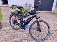 Gelegenheit Top-E-Bike - Haibike SDURO Trekking RC - Grafschaft