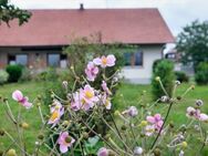 Vielseitiges Gewerbegrundstück mit Wohnhaus... - Hilzingen