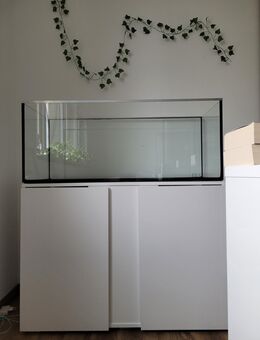 Weihnachten kommt: Aquarium mit Unterschrank - Bad Staffelstein Zentrum