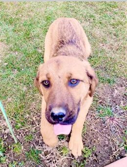 🩷𝐈𝐒𝐈 - Markkleeberg