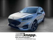 Ford Kuga, 1.5 Ford Kuga EcoBoost ST-Line X, Jahr 2020 - Frankenthal (Pfalz)