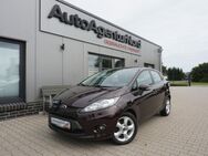 Ford Fiesta, 1.2 Trend 5l, Jahr 2009 - Großenkneten