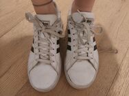 ❤️‍🔥💦 gerne getragene Schuhe - Adidas Sneaker - Bonn