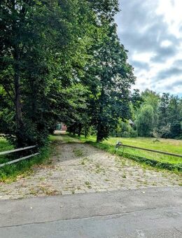 Selten: Resthof mit Potenzial + 7 ha Weide in idyllischer Lage - Beverstedt