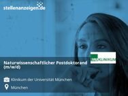 Naturwissenschaftlicher Postdoktorand (m/w/d) - München