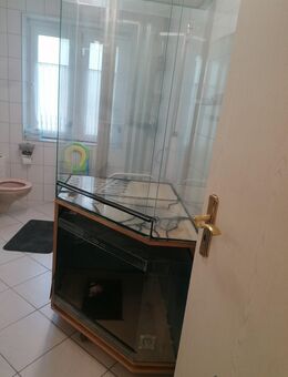 Terrarien mit Schrank abzugeben / Terrarium - Oberhausen