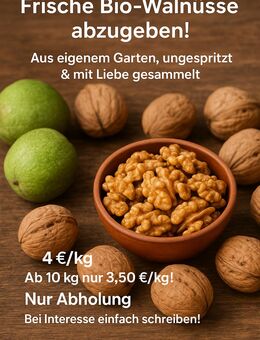 Walnüsse Ernte 2025, Naturbelassen und ab 10Kg 3,5/Kg - Perl