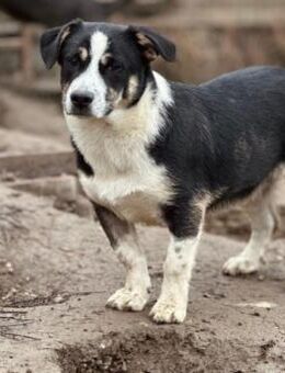 lieber kleiner Elliot - Kallmünz