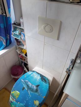 Handwerker für Toilette mit Bidet einbauen - Hanau (Brüder-Grimm-Stadt)