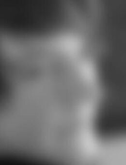 San*** - Neustadt (Aisch)