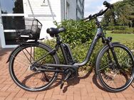 E-Bike Viktoria trekking Pedelec - Köln