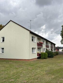 3 Zimmer im Grünen! - Braunschweig