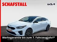 Kia - Bergheim (Nordrhein-Westfalen)