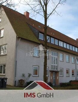 3 ZKB Wohnung in Barntrup-Alverdissen zu vermieten - Barntrup