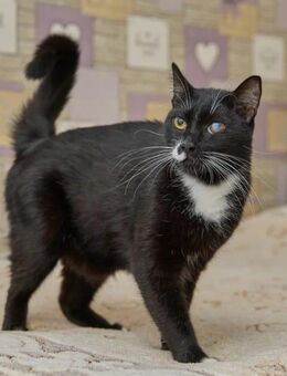 An Menschen mit gutem Herzen - Stuttgart