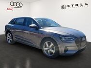 Audi e-tron, 50 quattro CCS, Jahr 2021 - Binzen