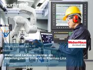 Maler- und Lackierermeister als Abteilungsleiter (m/w/d) in Rheinau-Linx - Rheinau