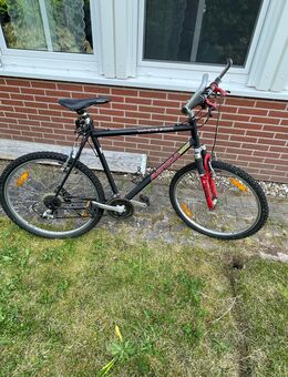 Fahrrad zu verkaufen .Gut erhalten . Sehr günstig abzugeben . - München