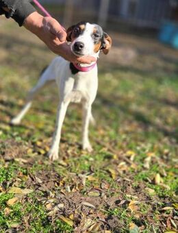 BORA-BE möchte eine Zukunft - Neustadt (Rübenberge)