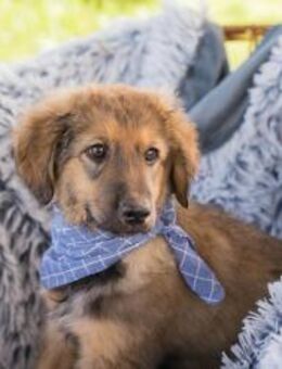 LUNI - spannende Tage erleben - Overath