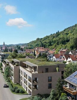 Stadtwohnungen am "Alten Ziegelplatz II - Waldshut-Tiengen