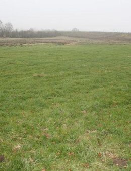 Resthof in Alleinlage mit zwei Wohnungen auf 44.000 m² Grundstück bei Hademarschen - Hanerau-Hademarschen