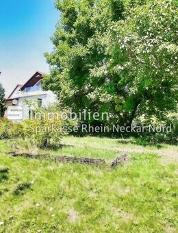 SIE suchen ein bezahlbares Platzwunder mit großem Garten? WIR haben es gefunden! - Heddesheim