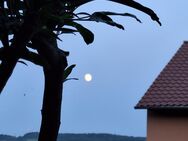 Suche DICH? Frau sucht .... - Schweinfurt