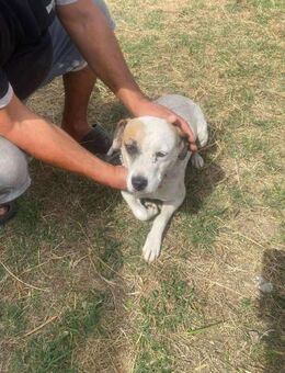 Nena - irgendwie fängt irgendwann... - Overath