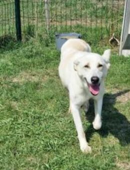 Mirko möchte die Welt entdecken - Nordwalde