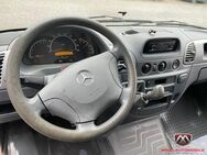 Mercedes-Benz Sprinter 313CDI / Kühlwagen/Tüv&Insp.neu/Kerstne - Neu Wulmstorf