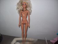 Barbiepuppe . - Erwitte