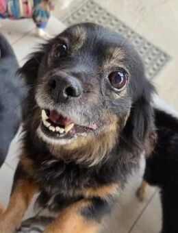 liebe, kleine Tanja - Kallmünz