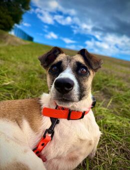 Liebenswerte Kämpferin Kisakye - Kallmünz