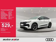 Audi Q4, S, Jahr 2021 - Landau (Pfalz)