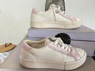 Neuwertige Schicke Sneaker - von Guess - Gr 40 - Ribnitz-Damgarten