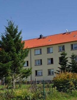 voraussichtlich ab 01.02.2026! Dannenberg 2-Raum Wohnung- Wohnen in ruhiger ländlicher Atmosphäre - Falkenberg (Brandenburg)