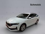 Skoda Octavia, 2.0 TDI Combi Selection, Jahr 2024 - Emmendingen