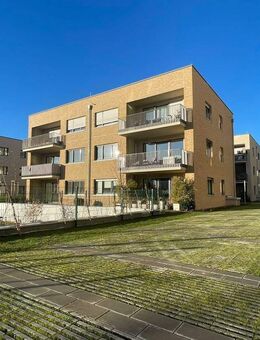 Neubau-2-Raumwohnung in Dresden Pirnaische Vorstadt - Wentzel Dr. - - Dresden