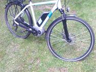 LIGBIKE ELEKTROFAHRAD 9 GANG MIT BOSCHMOTOR - Unna