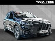 Ford Kuga, 2.0 ST-Line X EcoBlue 88kW Auto Sports Util, Jahr 2024 - Norderstedt