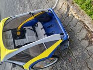 Fahrrad anhänger - Schauenburg
