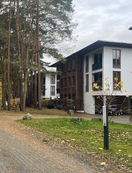 DIREKT AM WALDRAND GELEGEN: AUFGETEILTES MEHRFAMILIENHAUS MIT 10 WOHNEINHEITEN UND STELLPLÄTZEN - Teupitz