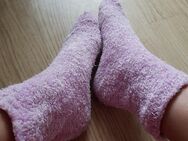 Kuschelsocken abzugeben - Berlin